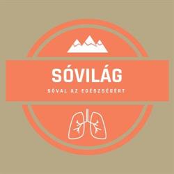 Sóvilág - Sószoba Monor