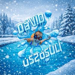 Dávid Úszósuli