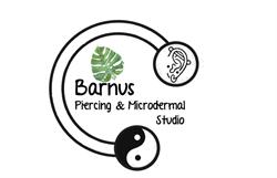 BPMS - Barnus Piercing & Microdermal Studio