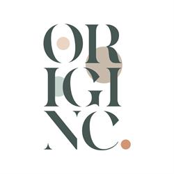 Origin Consulting Kft.
