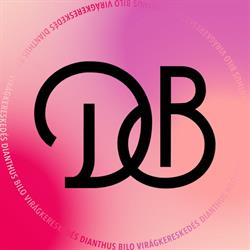 Dianthus Bilo Virágkereskedés
