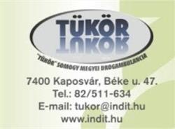 INDIT Közalapítvány TÜKÖR Somogy Megyei Drogambulancia