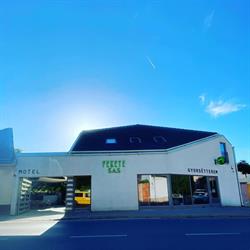 Fekete Sas Motel