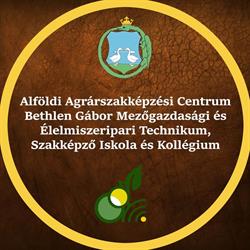 Alföldi ASzC Bethlen Gábor SZKI