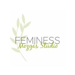Feminess Mozgásstúdió
