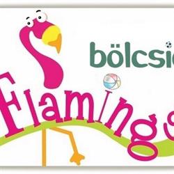 Flamingó BölcsiOvi
