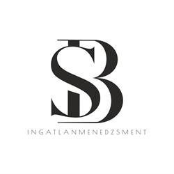 BS Ingatlanmenedzsment