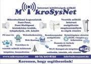 MikroSysNet