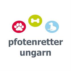 Pfotenretter Ungarn