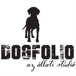 Dogfolio az állati stúdió
