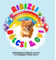 Ribizli Ovi&Bölcsi