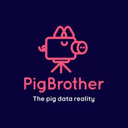 PigBrother
