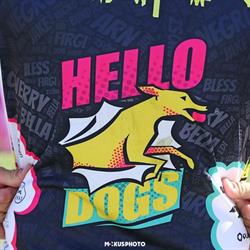 Hellodogs Flyball & Agility Team Sopron