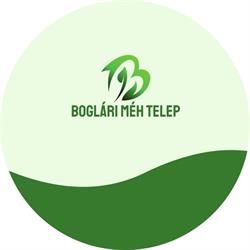 Boglári MÉH telep