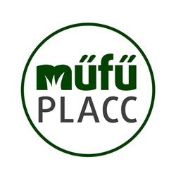 Műfűplacc