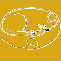 Aromaterápia Állatoknak - Dog Dream Therapy