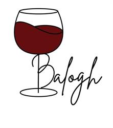 Balogh Pince és Apartman Zalakaros