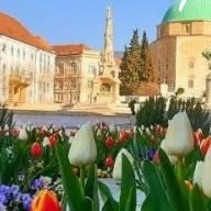 Centroom Pécs Apartman