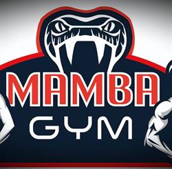 Mamba Gym