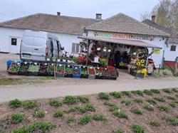 ZÖLDSÉG GYÜMÖLCS VEGYESBOLT