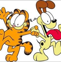 Odie Állateledel