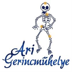 Ari GerincMűhelye