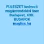 Dr Maglics Szilvia magán fül-orr-gégész Budapest Székesfehérvár maglics.hu