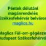 Dr Maglics Szilvia magán fül-orr-gégész Budapest Székesfehérvár maglics.hu