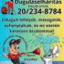 Dugulaselharitas