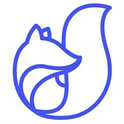 Blue Fox IT Systems