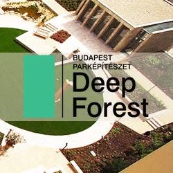 Deep Forest Kft.