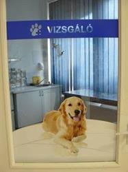 DiósdVet Állatorvosi Rendelő (Szamóca)