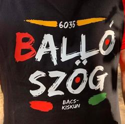 Ballószög Nagyközség Önkormányzata