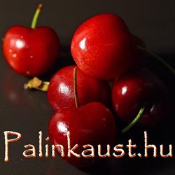 Copper Age Kft. - Pálinkaüst