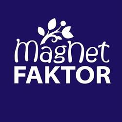 MagNet Faktor Zrt. - Faktoring szolgáltatások