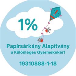 Papírsárkány Családi Bölcsőde