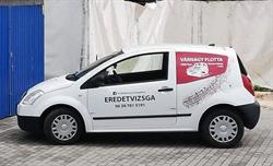 Várnagy flotta