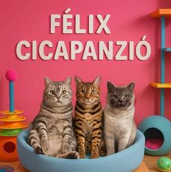 Cicapanzió