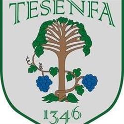 Tésenfa Községi Önkormányzat