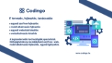 Codingo szolgáltatások