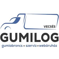 TEHERAUTÓ GUMISZERVIZ-GUMISZERVIZ VECSÉS Gumilog Kft. RcGumi