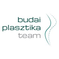 Budai Plasztikai Team Kft.