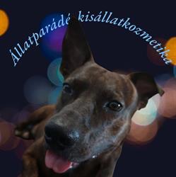Állatparádé Kisállatkozmetika