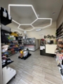 PetBuddyShop belülről