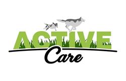 Active Care Kutyapanzió és napközi