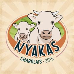 Nyakas Charolais