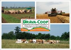 Dráva-Coop Mezőgazdasági Termelő, Szolgáltató és Kereskedelmi Zrt.