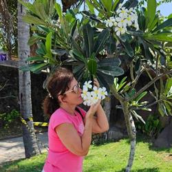 Frangipani World Kft.