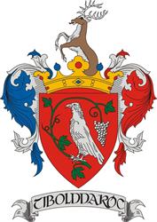 Tibolddaróc község hivatalos oldala