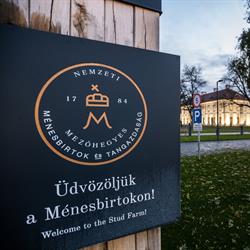 Nemzeti Ménesbirtok és Tangazdaság Zrt.